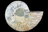 Agatized Ammonite Fossil (Half) - Madagascar #83804-1